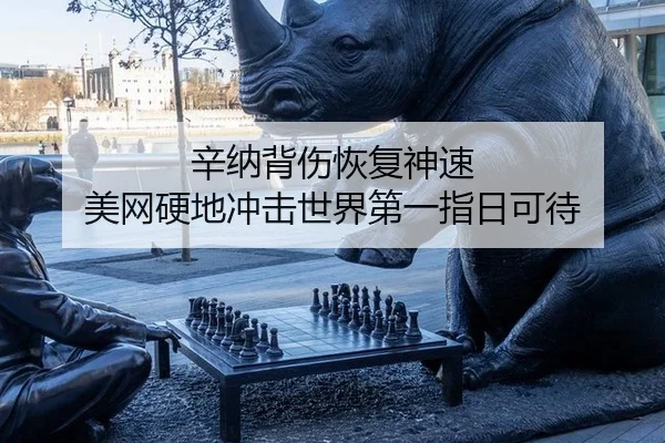 辛纳背伤恢复神速 美网硬地冲击世界第一指日可待