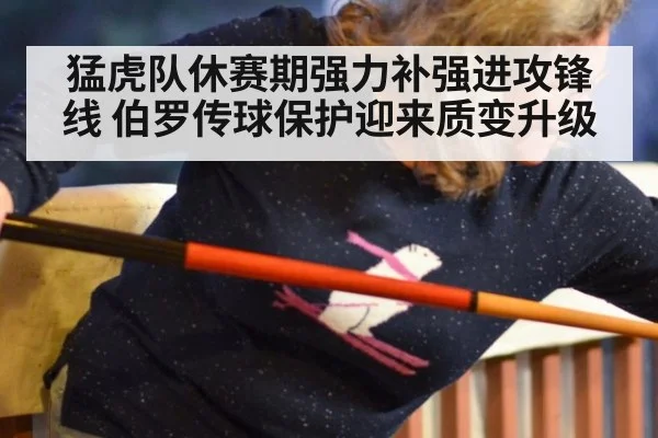 猛虎队休赛期强力补强进攻锋线 伯罗传球保护迎来质变升级