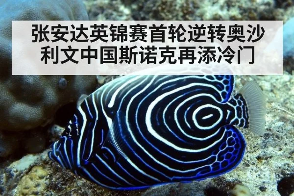 张安达英锦赛首轮逆转奥沙利文中国斯诺克再添冷门