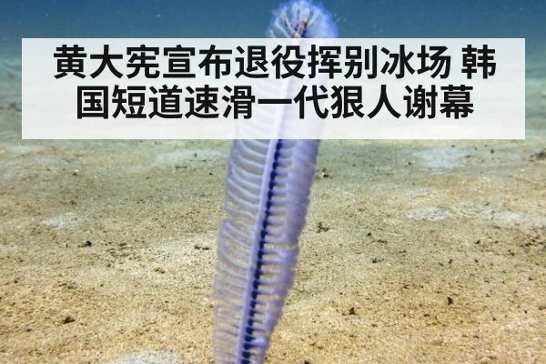 黄大宪宣布退役挥别冰场 韩国短道速滑一代狠人谢幕